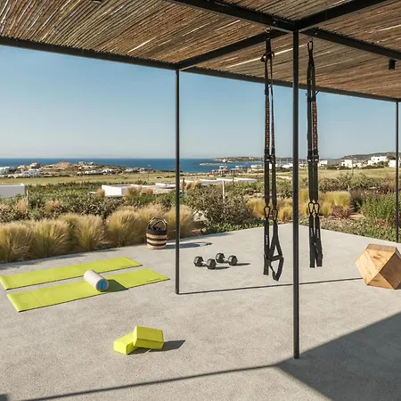 Ovea Paros Hotel Naousa (Paros)